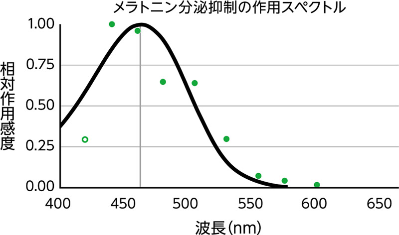 グラフ：メラトニン分泌抑制の作用スペクトル